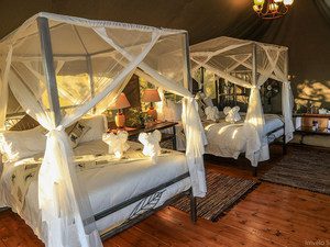 © Imvelo Safari Lodges; Kalahari – Afrika Spezial Safaris, Dresden